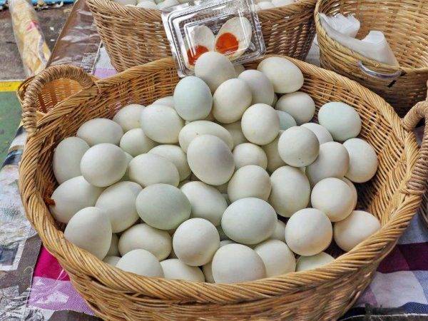 Утиные яйца: польза и вред для организма человека, как готовить