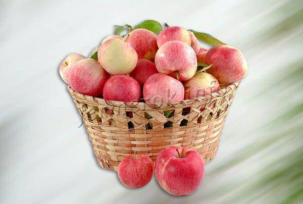 Яблоня фуджи: описание сорта