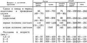 Можно ли кроликам лопух: информация для кроликовода