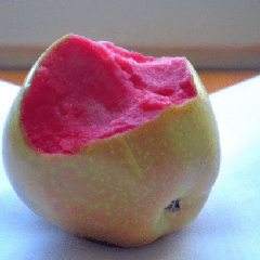 Сорт яблок розовый жемчуг фото и описание. отличительные особенности