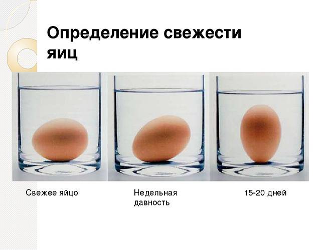 Как хранить инкубационные яйца до закладки в инкубатор, требования к помещению и сроки