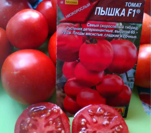 Томат "алый мустанг": описание сорта и фото, характеристики плодов-помидоров и рекомендации по выращиванию русский фермер