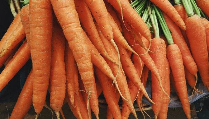 Сонник приснилась морковь к чему снится морковь во сне