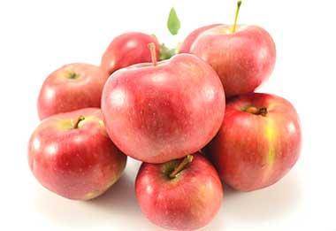 Яблони для средней полосы — сорта самых вкусных яблок