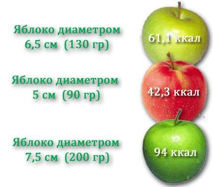Сколько весит яблоко: масса среднего и большого