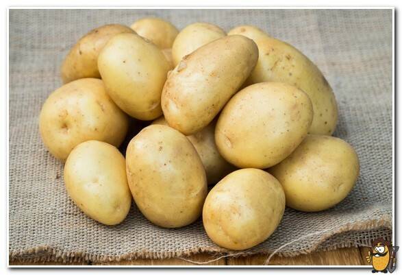 Картофель гала: топ советы по выращиванию, характеристика, фото