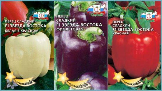 Выращивание болгарского перца в открытом грунте и теплице: агротехника, посадка рассады |