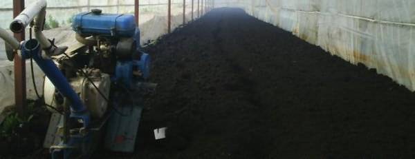 Как приготовить почву для огурцов в теплице весной: какую землю любят огурцы, как ее подготовить и обработать