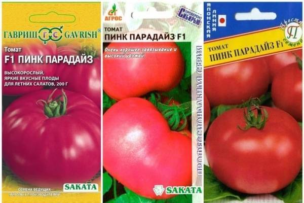 Выращивание помидоров пинк парадайз в теплице: подготовка к посадке, требования к парнику, а также особенности ухода за томатами русский фермер