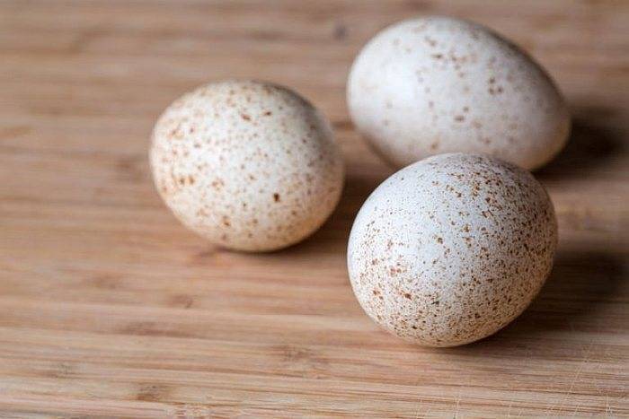Индюшиные яйца: польза и вред, как готовить, сколько варить