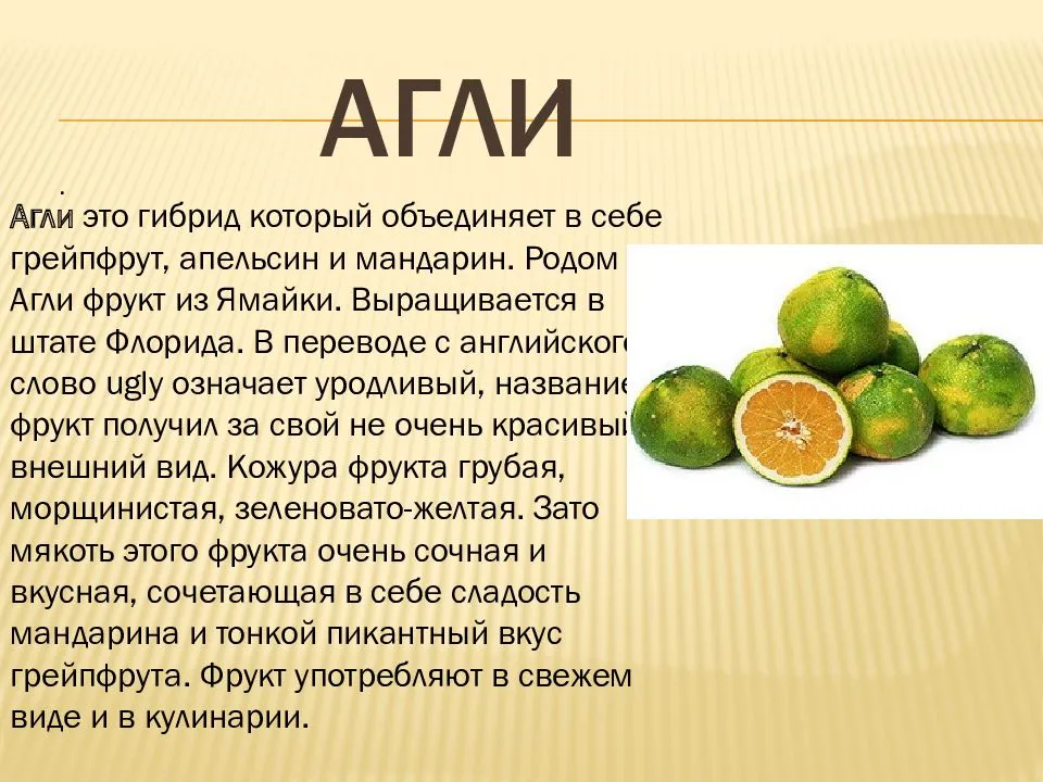 Почему апельсин называли “китайским яблоком”, каким он бывает и где растёт