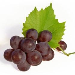 Чем полезен виноград — описание влияния на организм взрослого и ребенка. 130 фото и видео полезных свойств винограда