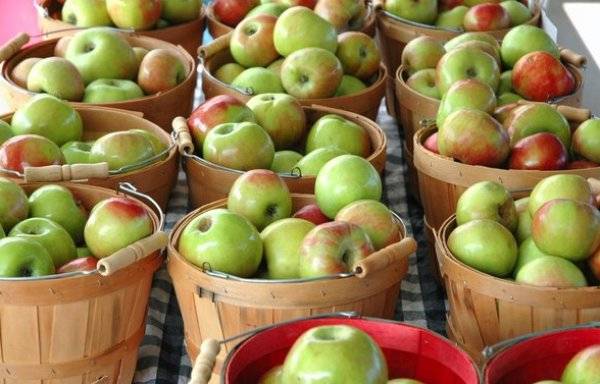 Как хранить яблоки в домашних условиях - самая полная инструкция