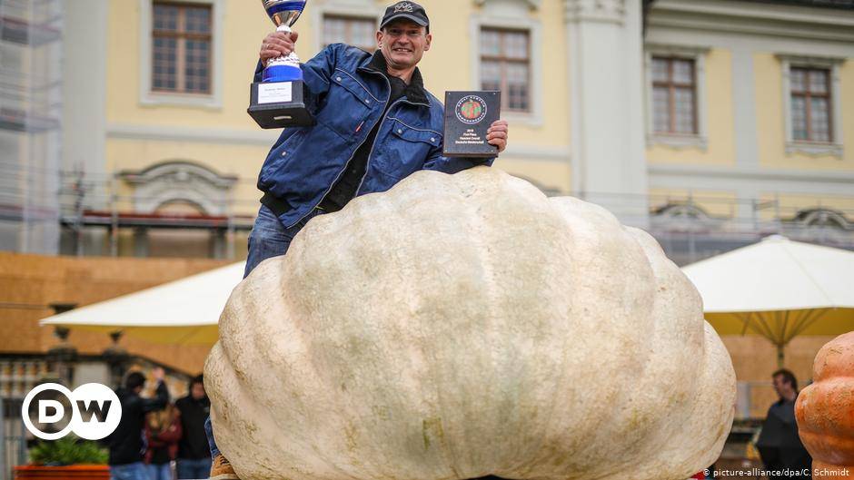 Каких размеров самая большая тыква в мире?