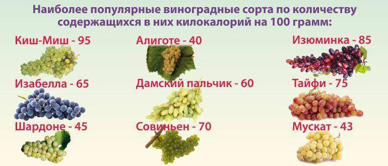 Виноград: польза и вред для организма при похудении, калорийность на 100 грамм
