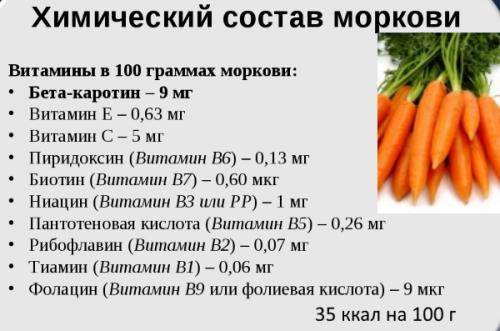 Морковь сырая — химический состав, пищевая ценность