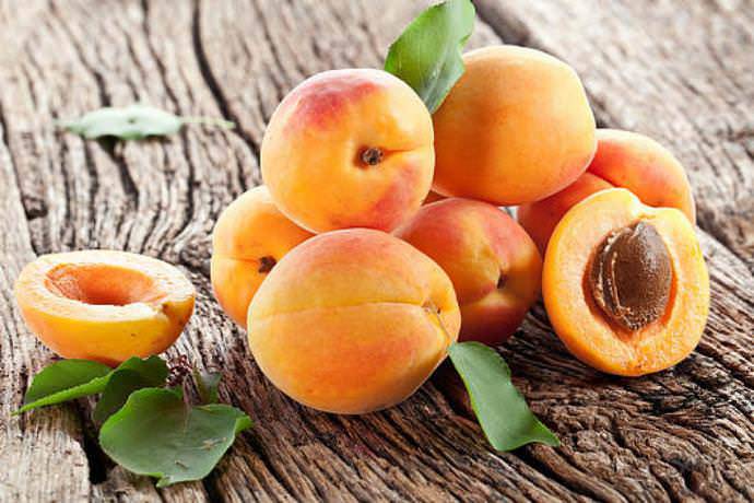 Лучшие сорта абрикосов, низкорослые, зимостойкие, по срокам созревания плодов