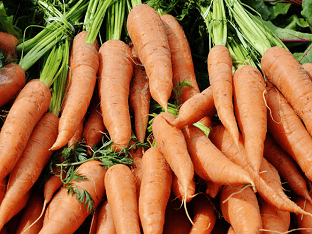 К чему снится  морковь во сне — по 90 сонникам! если видишь во сне морковь что значит?