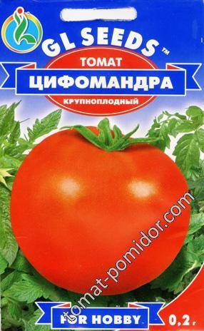 Описание сорта томата Цифомандра — особенности выращивания