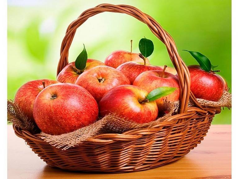 Польза сушеных яблок для здоровья