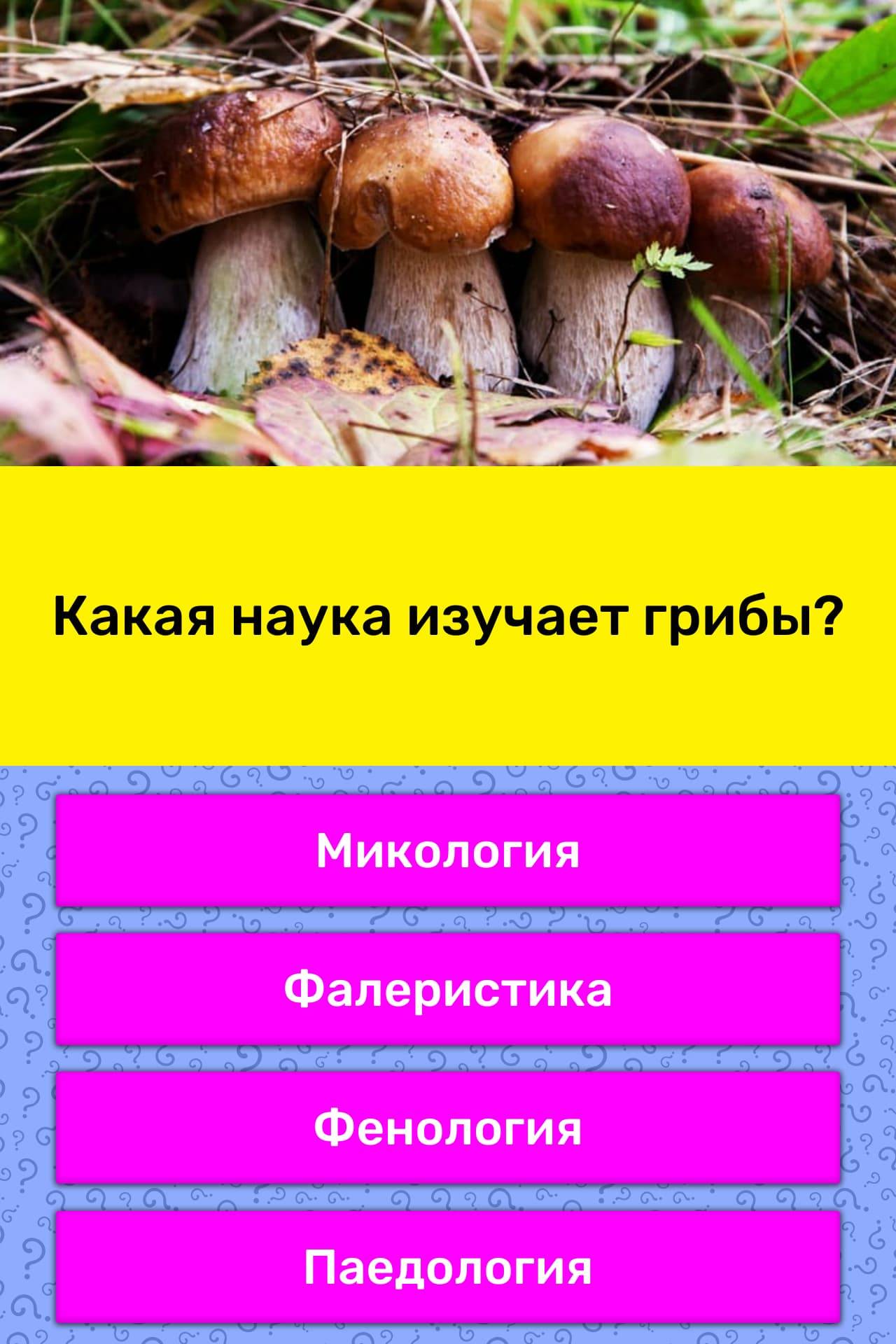 Микология это. Микология наука о грибах. Микология грибы. Микология это наука изучающая грибы. Какая наука изучает грибы.