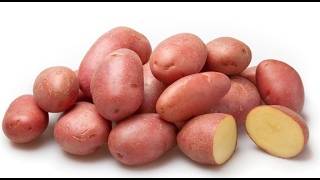 Сорт картофеля джелли: характеристика, описание с фото, отзывы