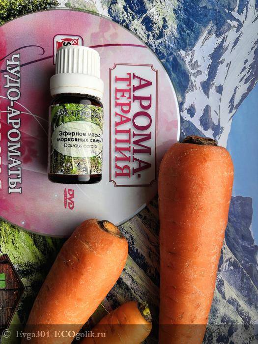 Масло моркови: в чем польза эфирного средства из семян, а также правила применения для получения загара и других целей русский фермер