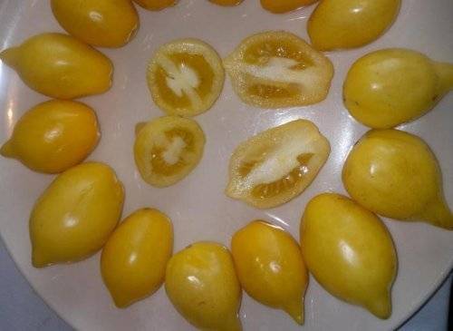 Томат чудо света: лиана с лимоновидными плодами