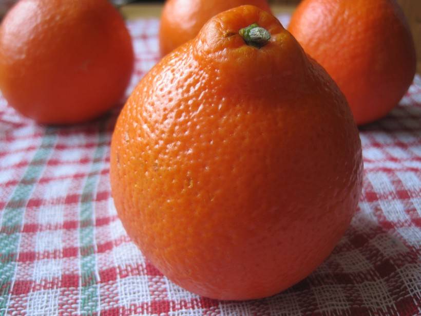 Апельсин: бжу (содержание белков, жиров, углеводов), калорийность, питательная ценность и польза