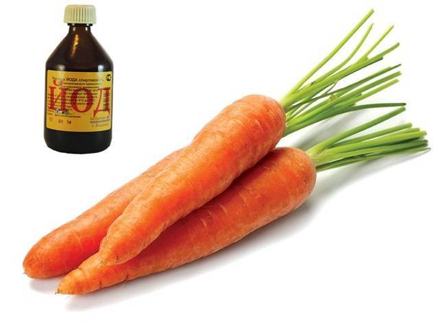 Чем подкормить морковь народными средствами после всходов