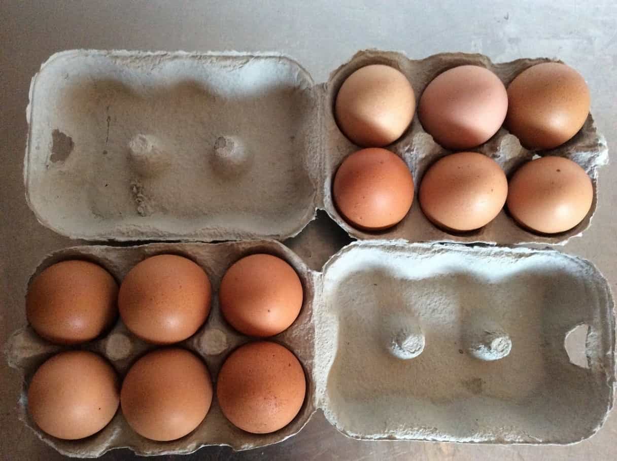 Вес одного куриного яйца: среднее значение и показатели у разных пород