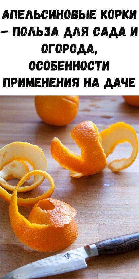 Как использовать апельсиновые корки на огороде