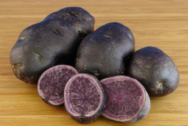 Картофель фиолетовый: состав, калорийность, польза, рецепты