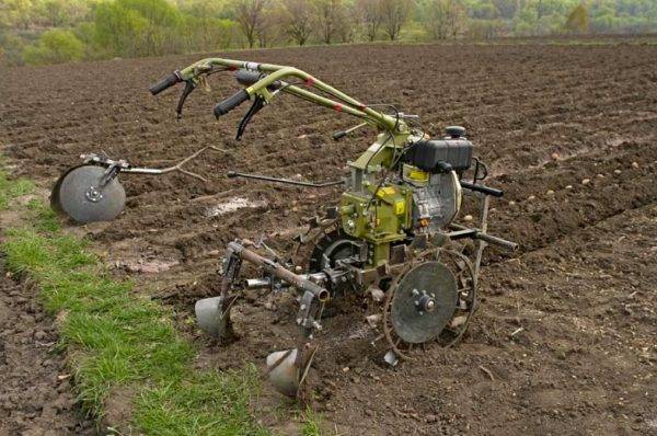 Способы уборки картофеля | подробно о тракторах и сельскохозяйственной технике