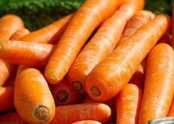 Как правильно прореживать морковь в открытом грунте