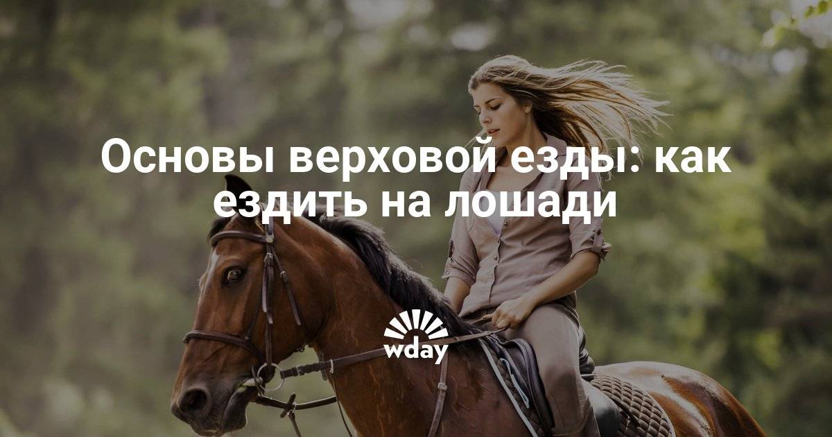 Как ездить на лошади: советы начинающим, стили езды