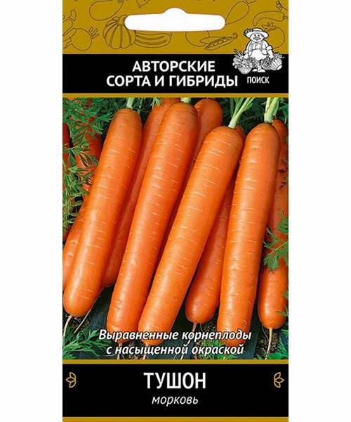 Морковь сорта тушон: описание, фото, характеристики, агротехника