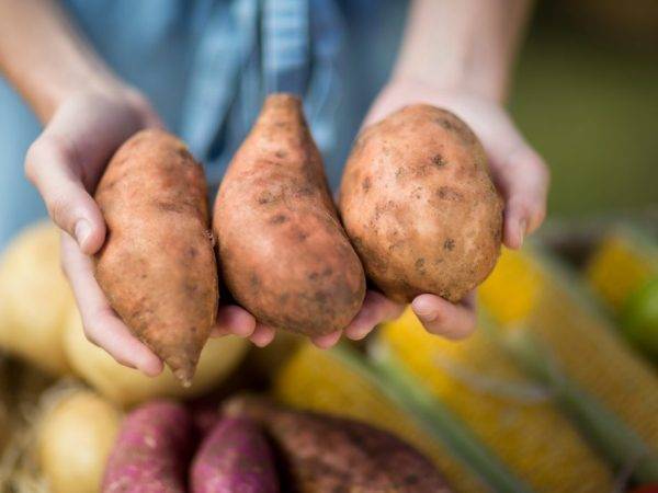 В чем польза  и вред картофеля для здоровья человека