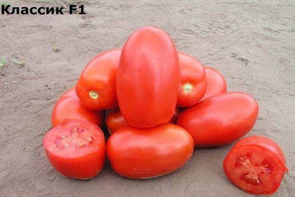 Классификация томатов | интернет-магазин золотая семечка