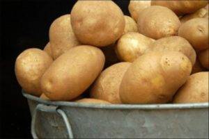 Сорта картофеля для сибири с описанием, характеристикой и отзывами, а также особенности выращивания в данном регионе