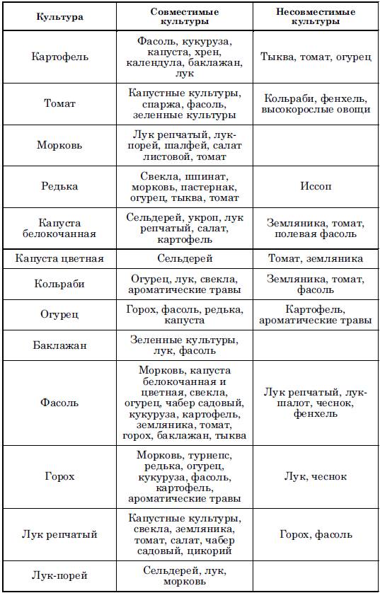 Схема посадки овощей на огороде совместимость и севооборот