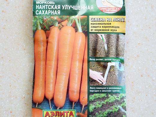 Посадка моркови: особенности весной, как сажать в открытый грунт, что делать, чтобы получить хороший урожай + видео