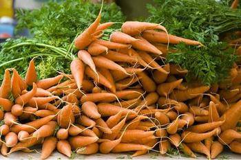 Морковь не растет: чем подкормить в открытом грунте, чтобы не была мелкой, минеральные удобрения и сидераты после всходов весной и летом, настой зеленых трав
