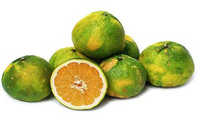Фрукт лайм – ценные качества ближайшего родственника лимона