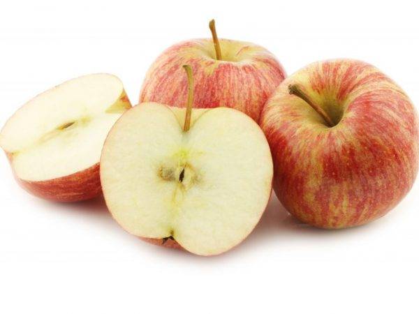 Употребление яблочных семечек: полезно или вредно. как можно употреблять яблочные семечки с пользой | omj