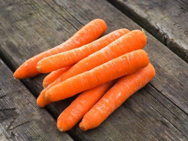 Морковь "лосиноостровская 13": описание и характеристика сорта, особенности посадки и выращивания, а также сбор урожая, достоинства и недостатки русский фермер