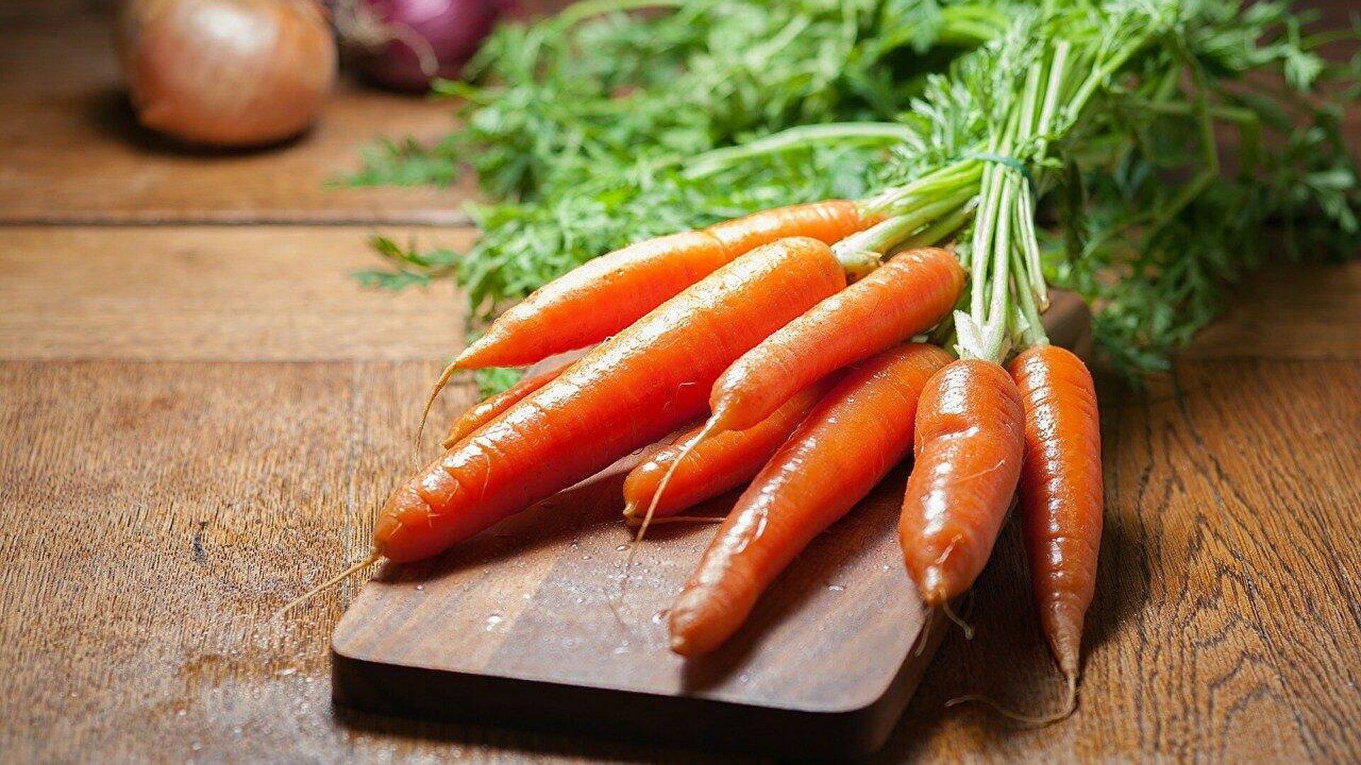 Морковь - польза и вред для организма человека