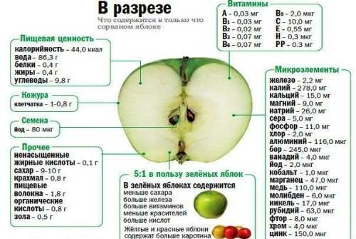 Сколько калорий в яблоке: состав, бжу, польза и вред для организма