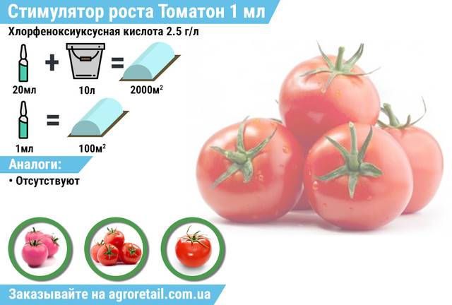 Свойства стимулятора плодообразования томатон | инфо сад