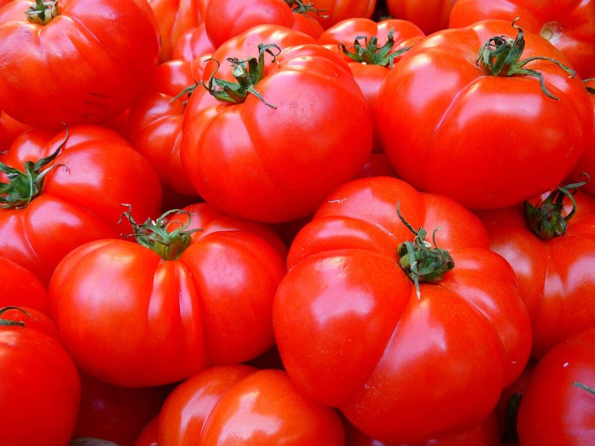 К чему снятся помидоры красные женщине или мужчине - сонник